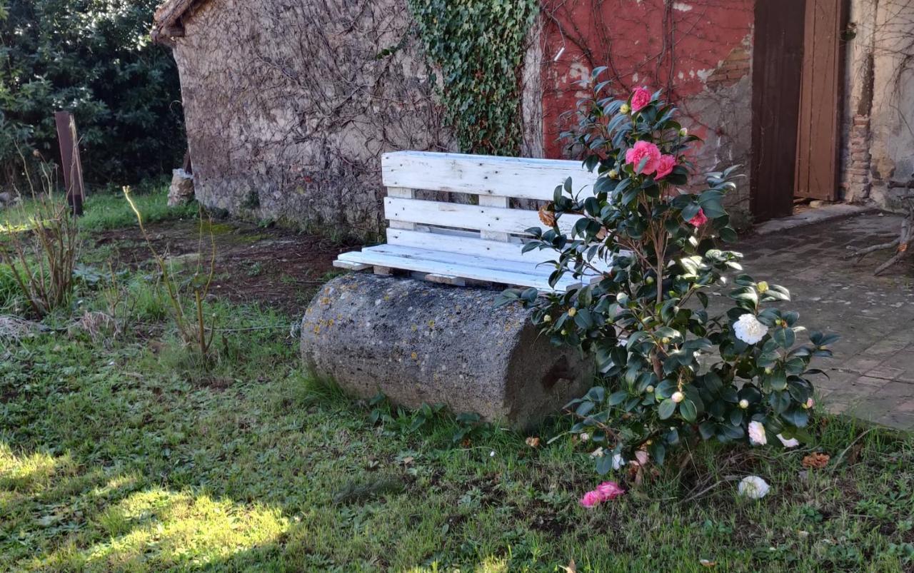 Relax & Sport Velletri Apartamento Exterior foto